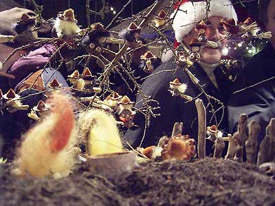 gal/Unser_Marktstand/markt01.jpg
